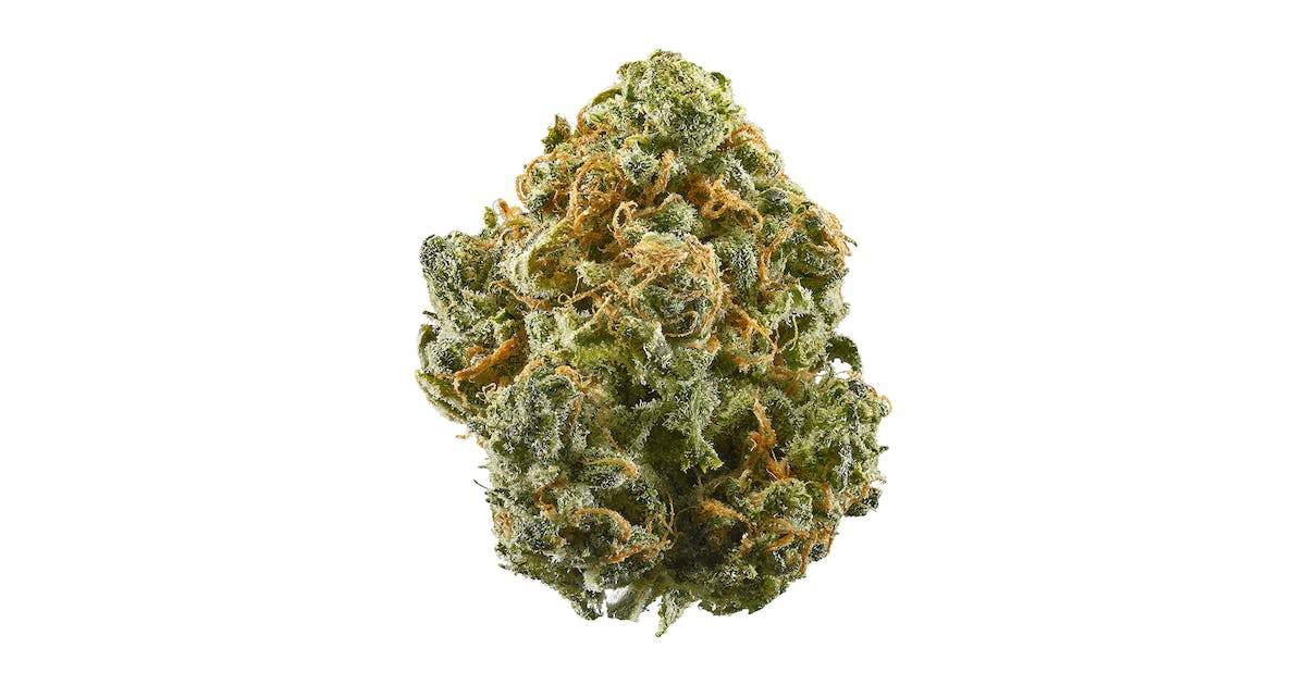 Blue Truffle Marijuana Strain Information & Reviews AllBud