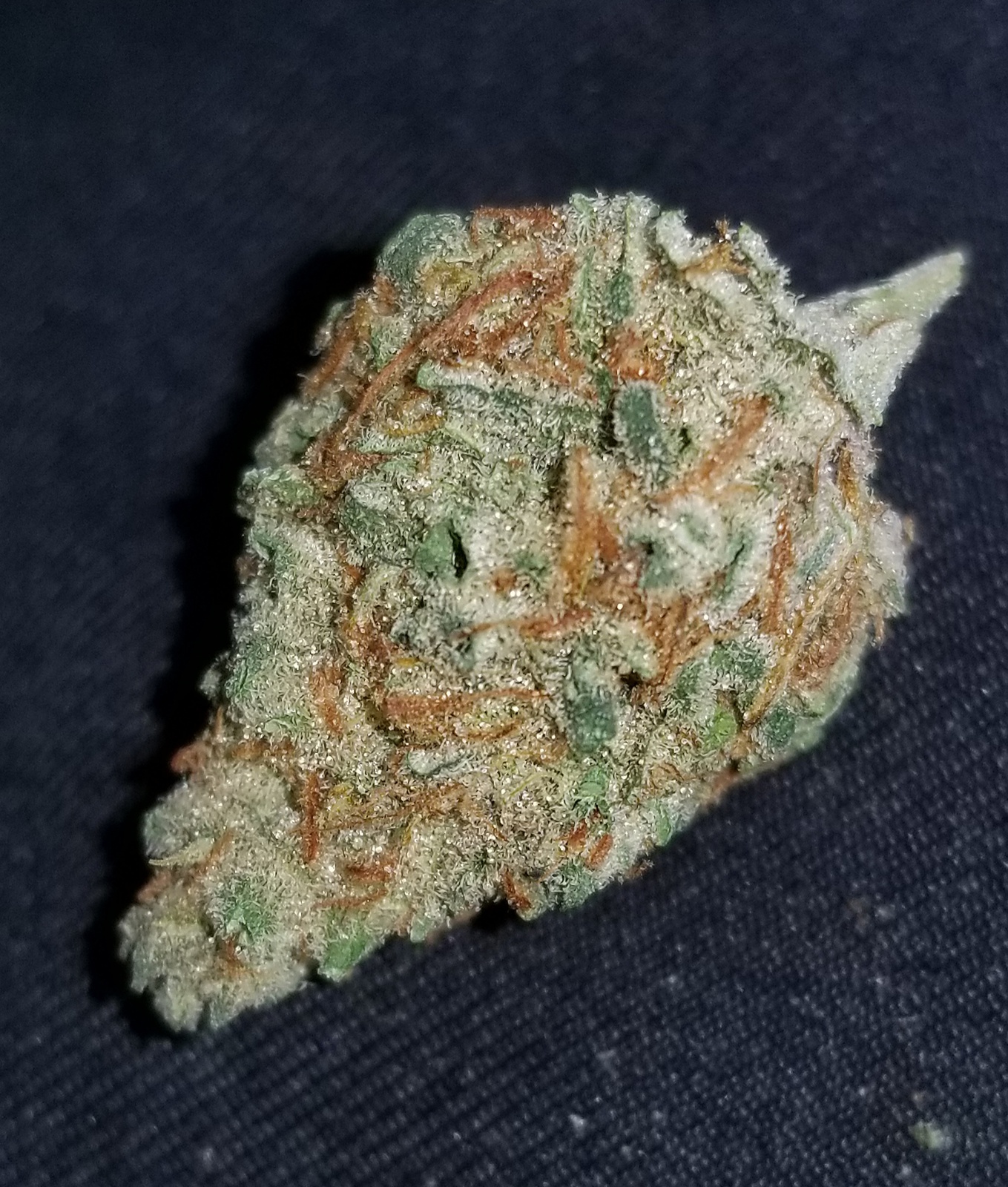 Blueberry Pie Marijuana Strain Information & Reviews AllBud