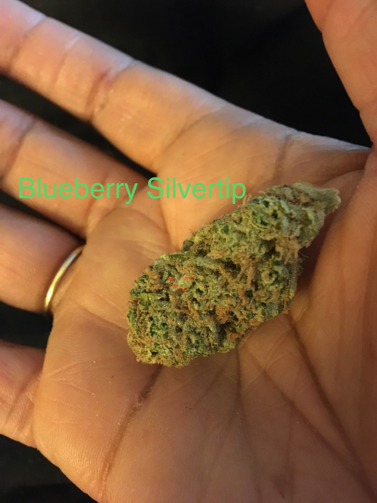 41 Cherries Strain Allbud 44 - t0sl06b