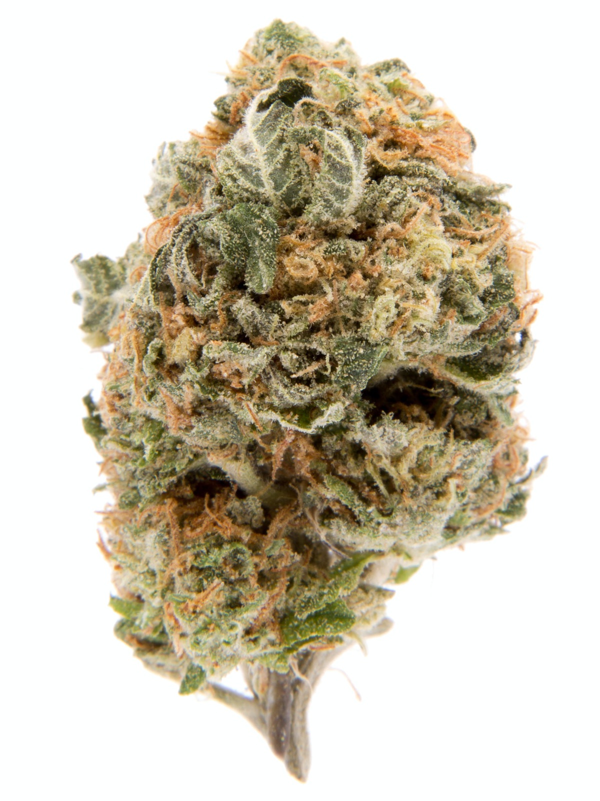 Gelato Sundae Strain Allbud - 3fffxef