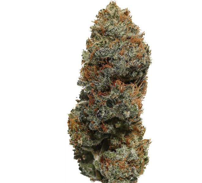 Blueberry Waffles Marijuana Strain Information & Reviews AllBud