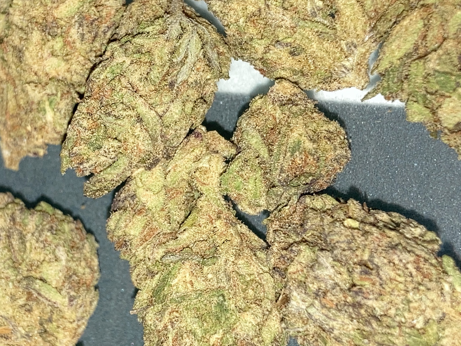 Blueberry Yum Yum Marijuana Strain Information & Reviews AllBud