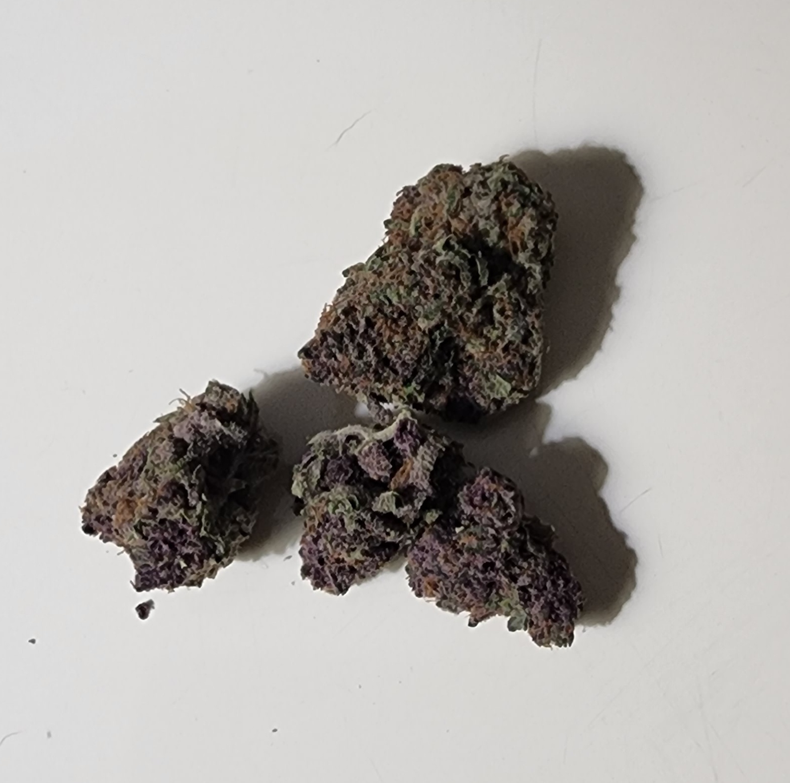 Bodhi Satsuma Marijuana Strain Information & Reviews AllBud