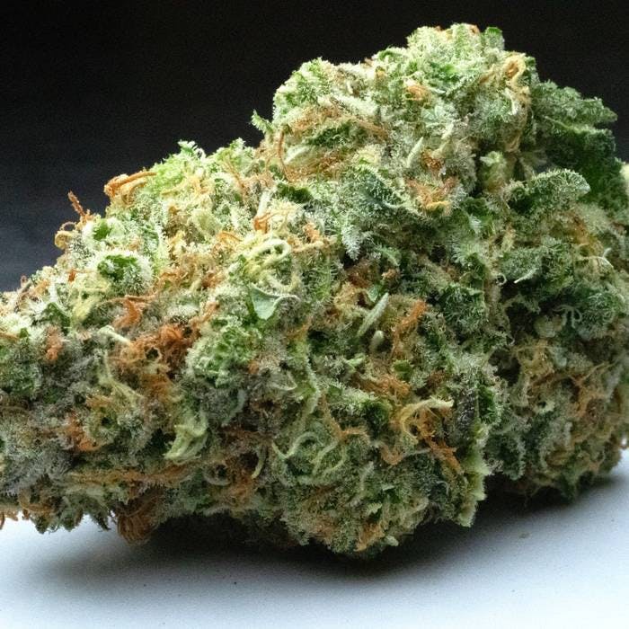 Boo Berry Cookies Marijuana Strain Information & Reviews AllBud