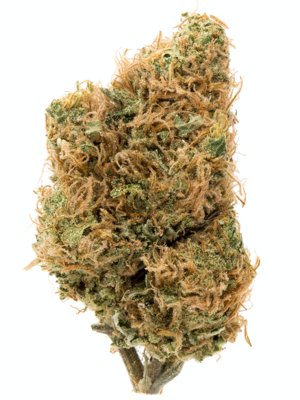 Bubba Goat Marijuana Strain Information & Reviews AllBud