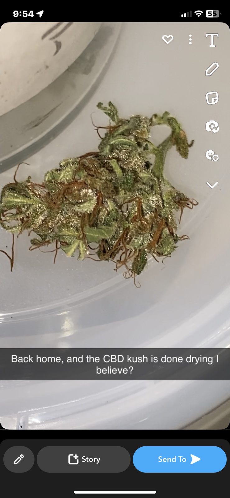 Bubba Kush CBD Marijuana Strain Information & Reviews | AllBud