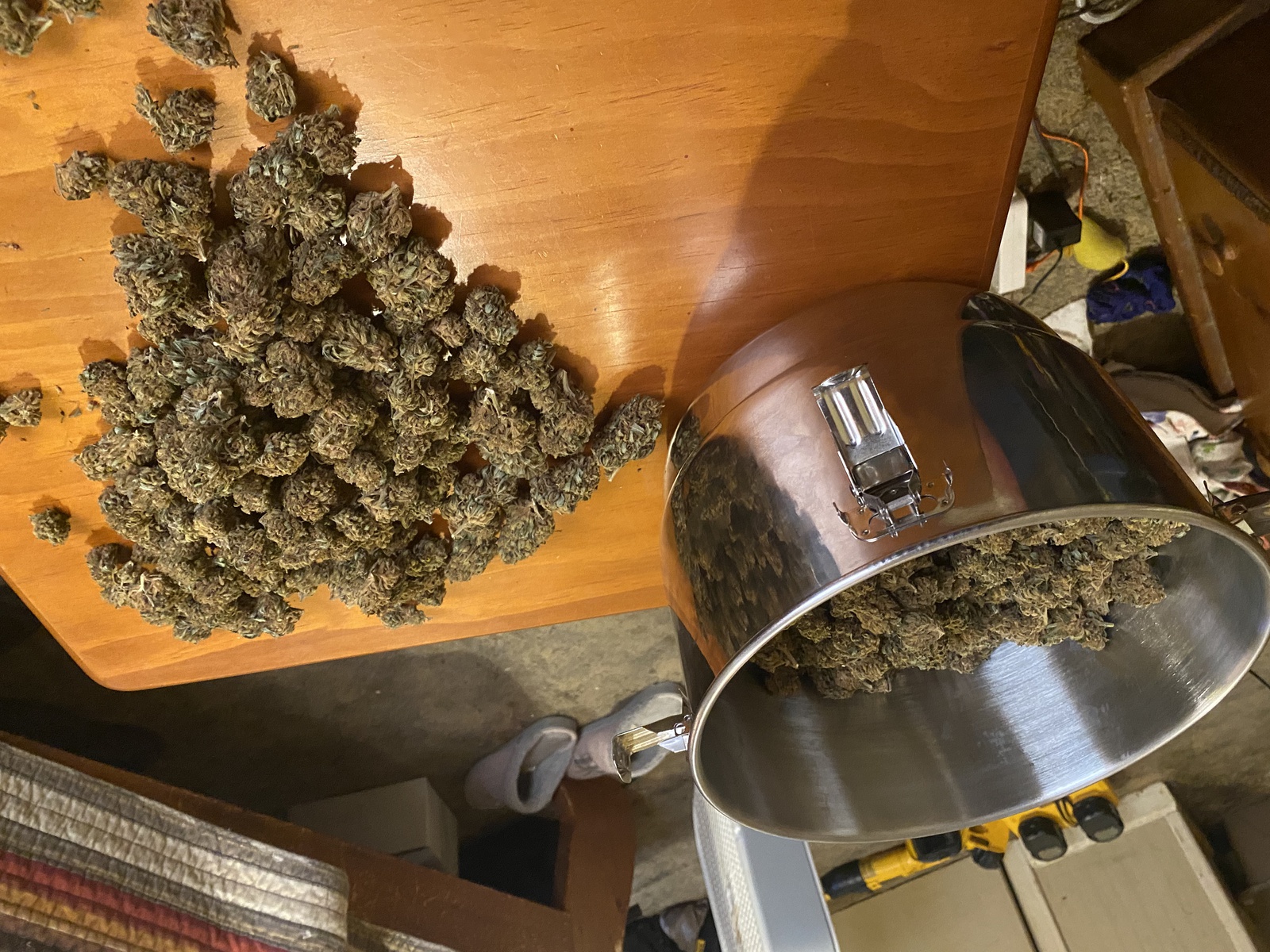 Bubble Mint Marijuana Strain Information & Reviews AllBud