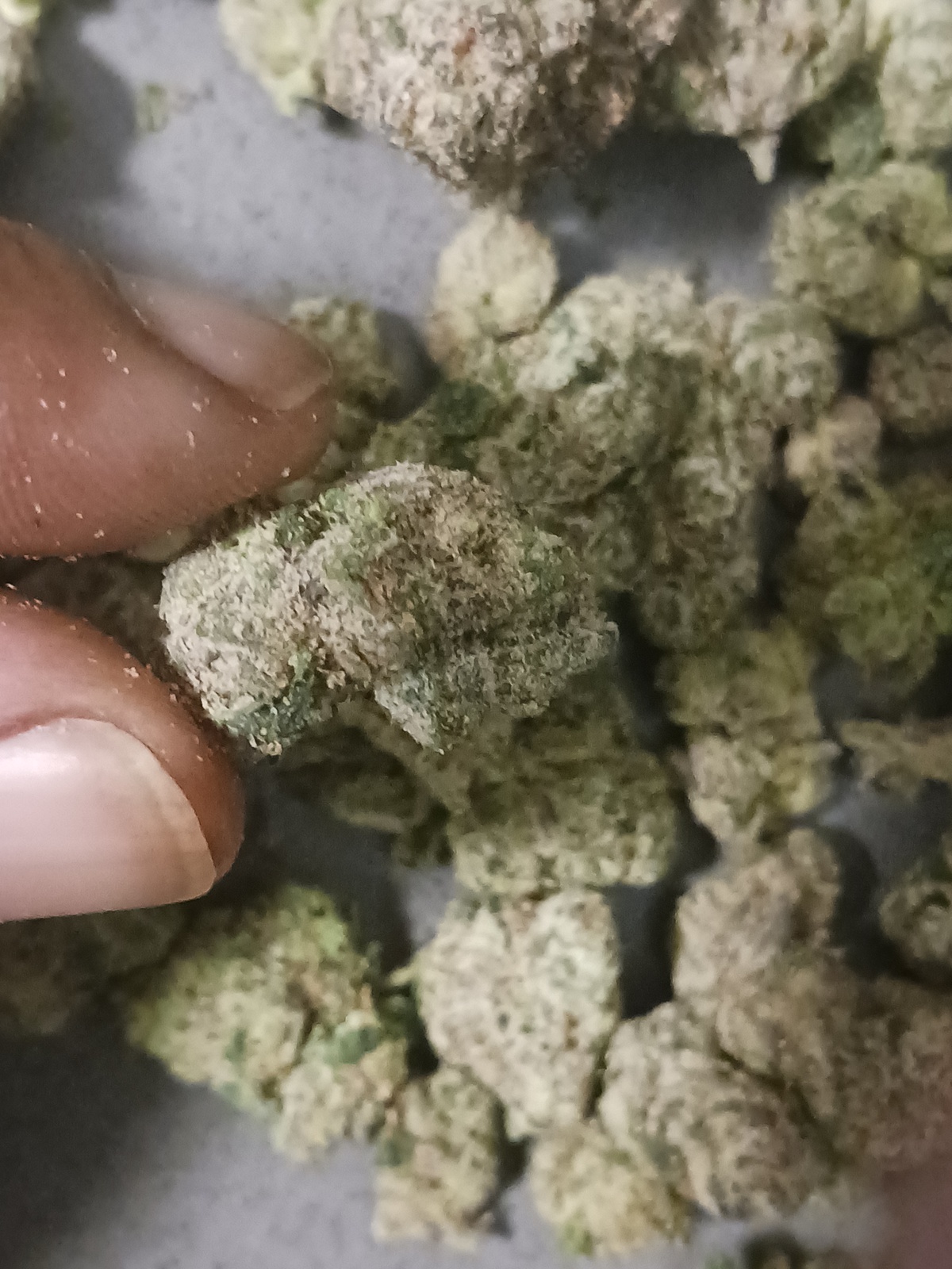 Bubble Yum Marijuana Strain Information & Reviews AllBud