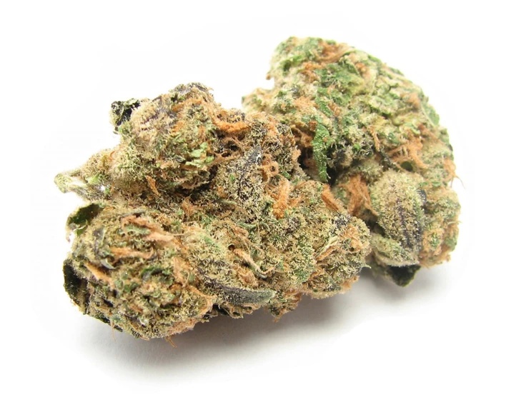 Bubblegum Biscotti harvested flower, as labeled by the cited photo source