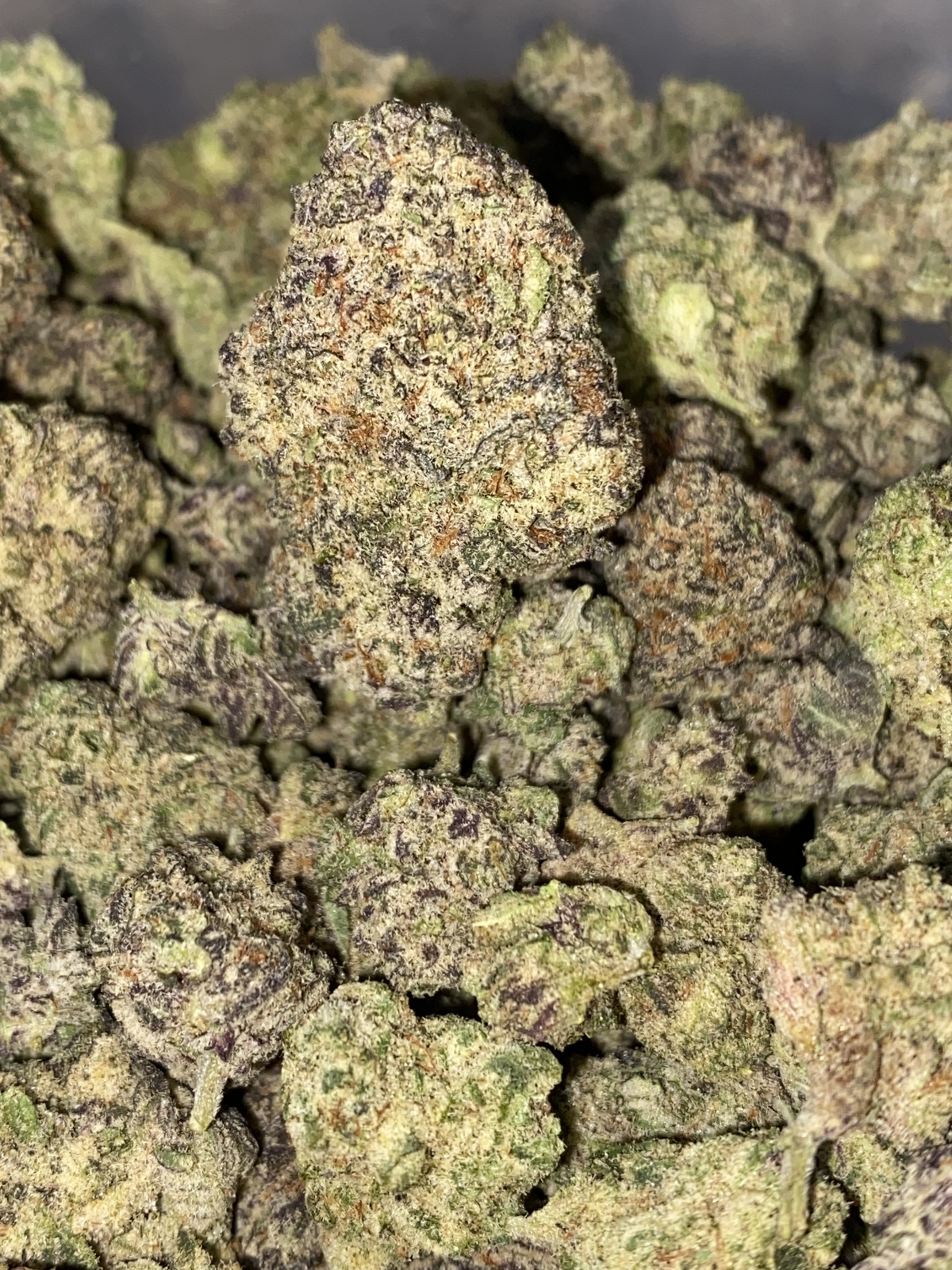 Bubblegum Gelato Marijuana Strain 