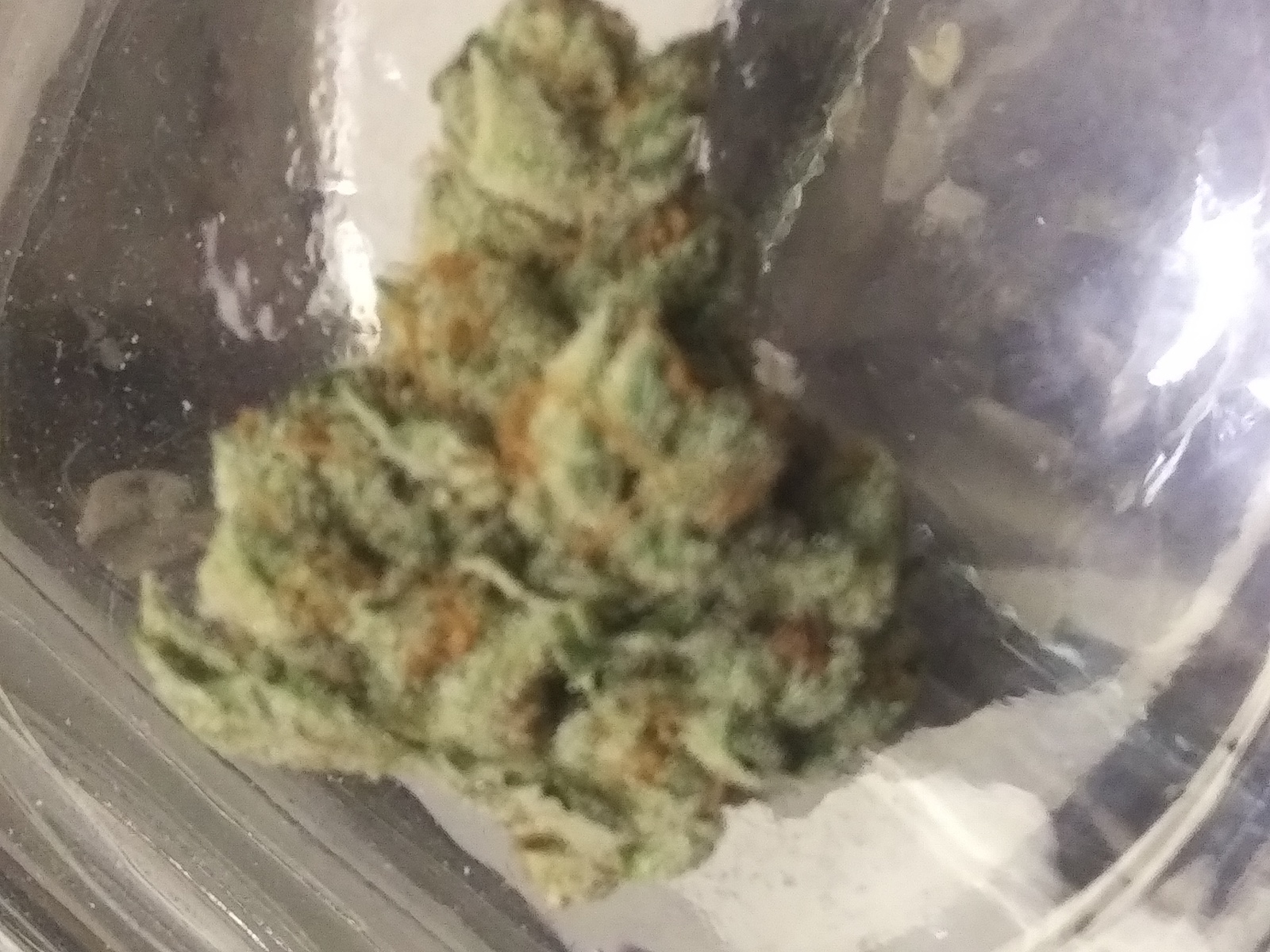 Butter Cookies Marijuana Strain Information & Reviews AllBud