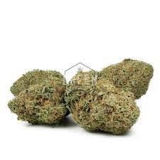 Cafe Racer archive 1