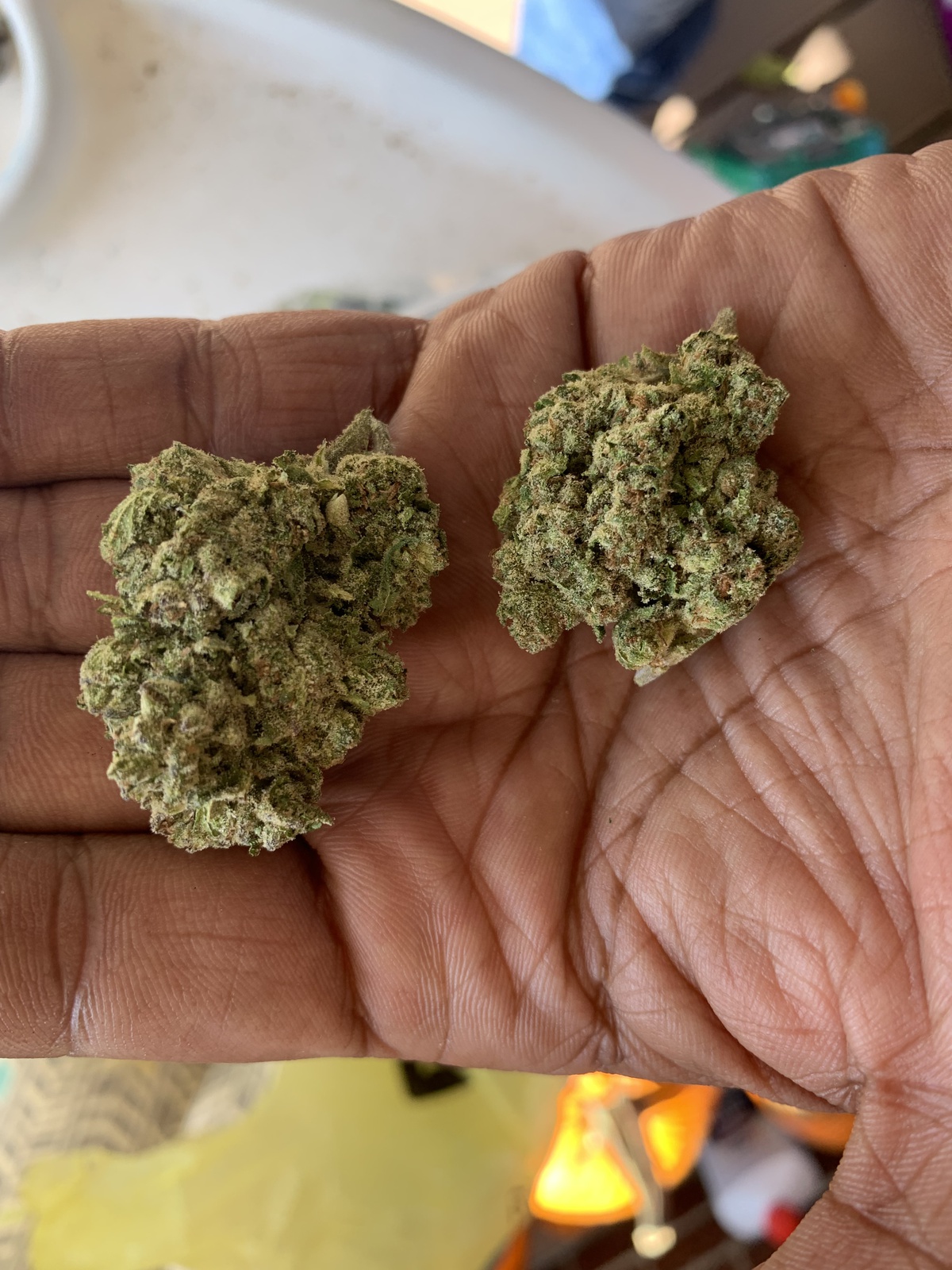 Cake Frosting archive 1