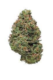 California Orange Cheese archive 1