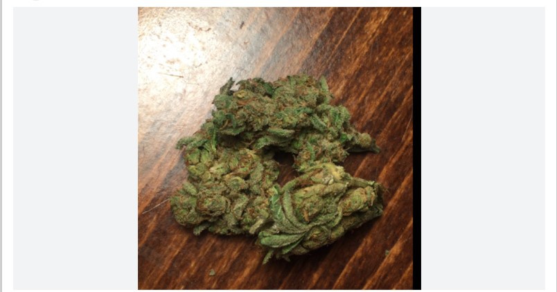 California Sour Diesel archive 1