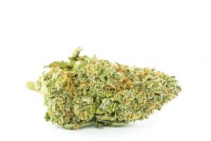 Canadian Kush archive 1