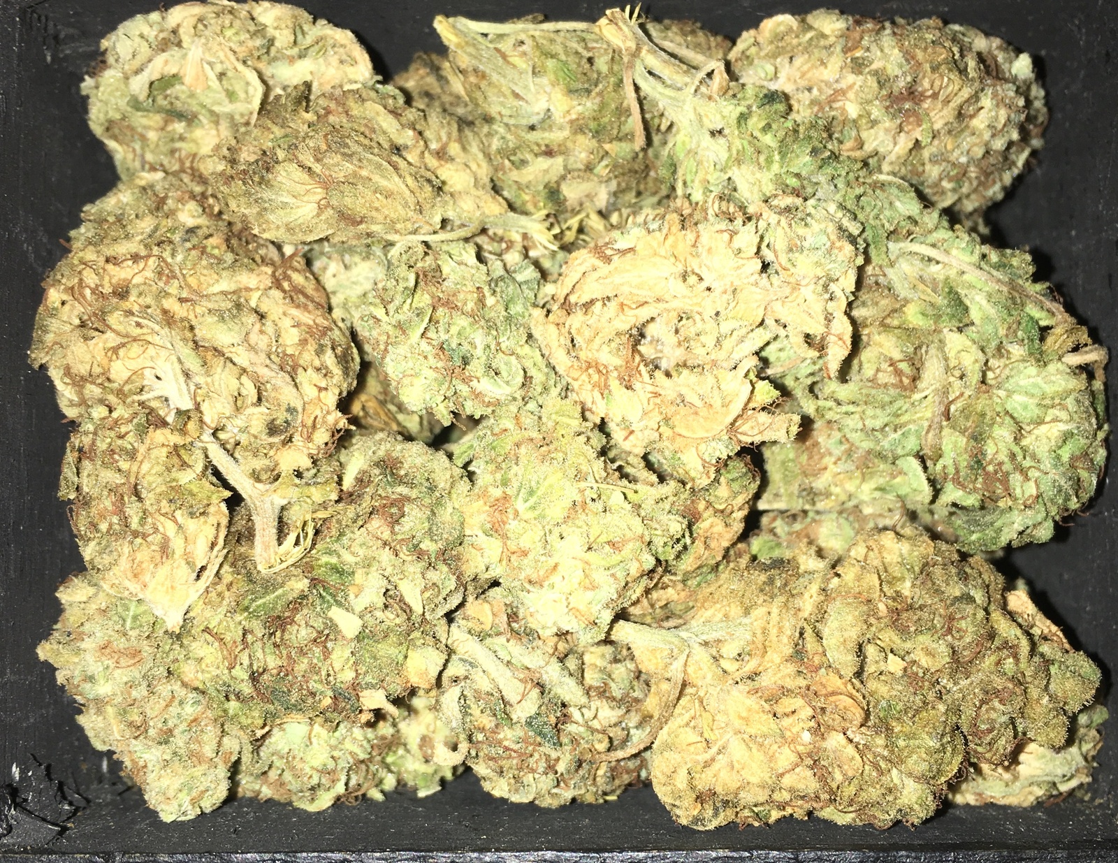 Captain Kush Marijuana Strain Information & Reviews AllBud