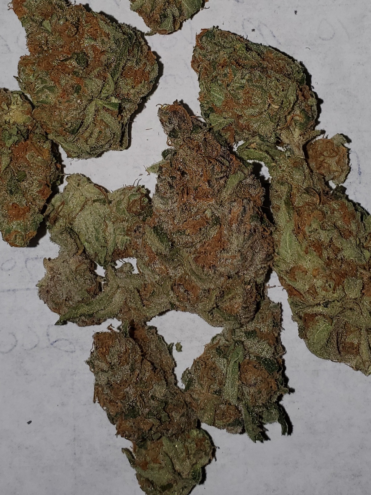 41 Cherries Strain Allbud 44 - gr6ok0b