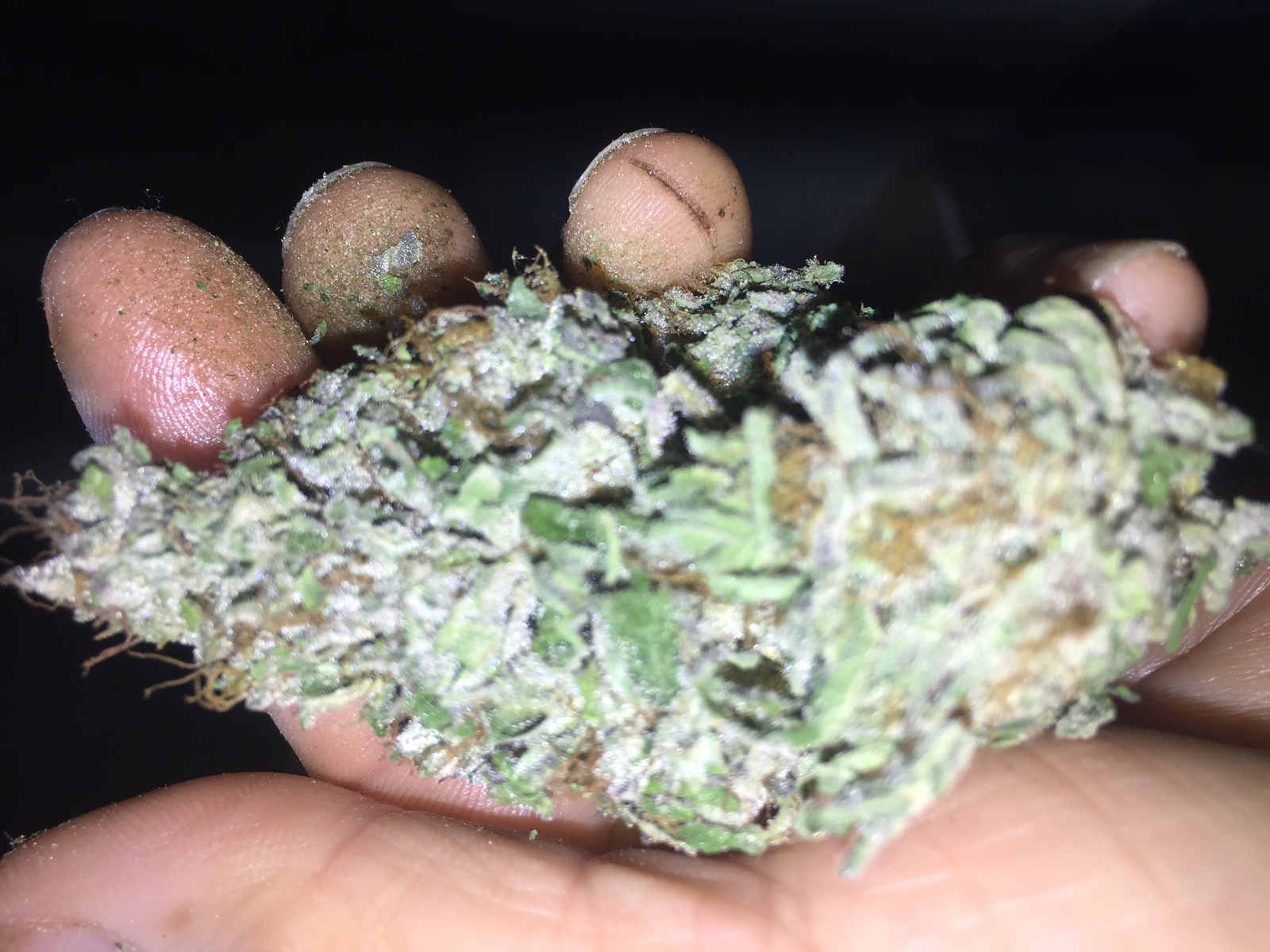 Cherry Cheesecake Marijuana Strain Information & Reviews AllBud