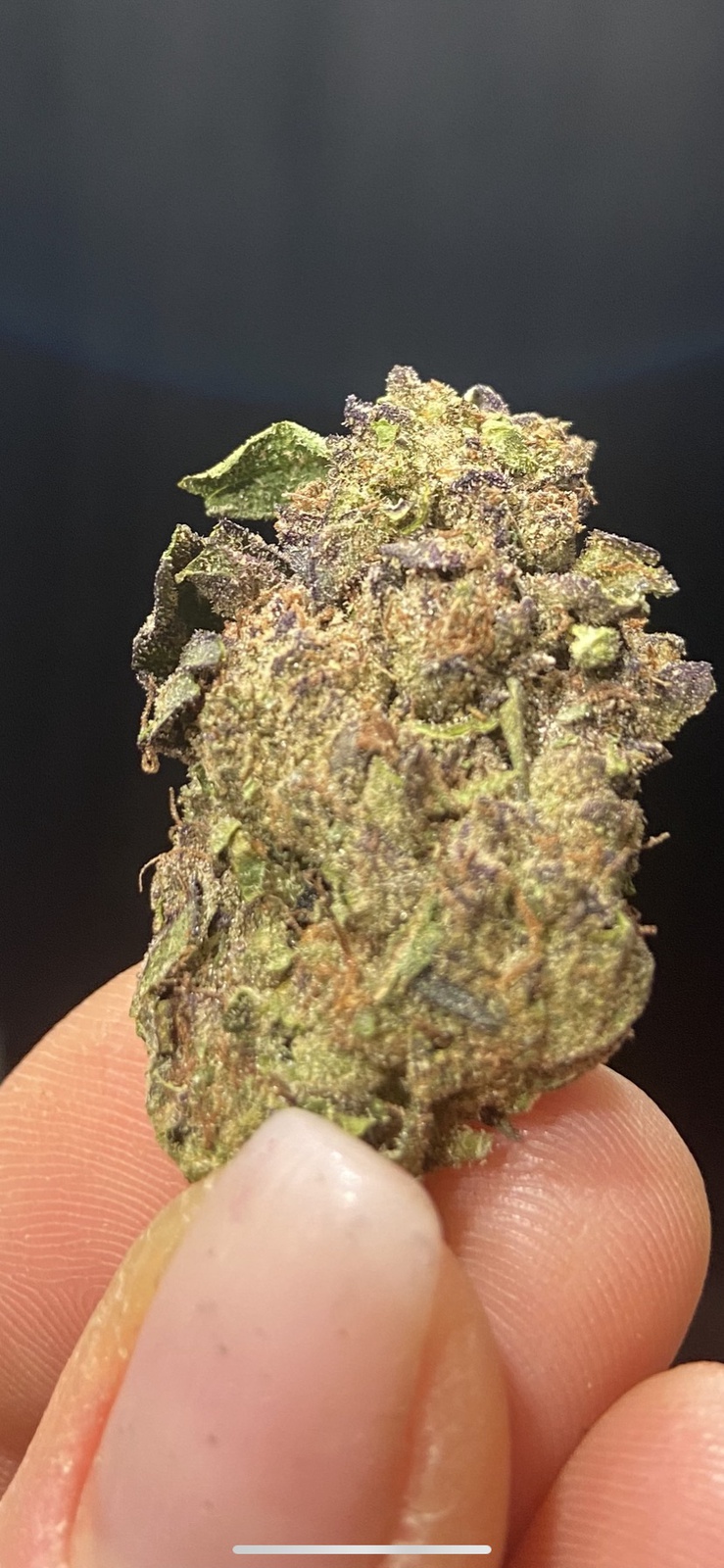 Cherry Crush Marijuana Strain Information & Reviews AllBud