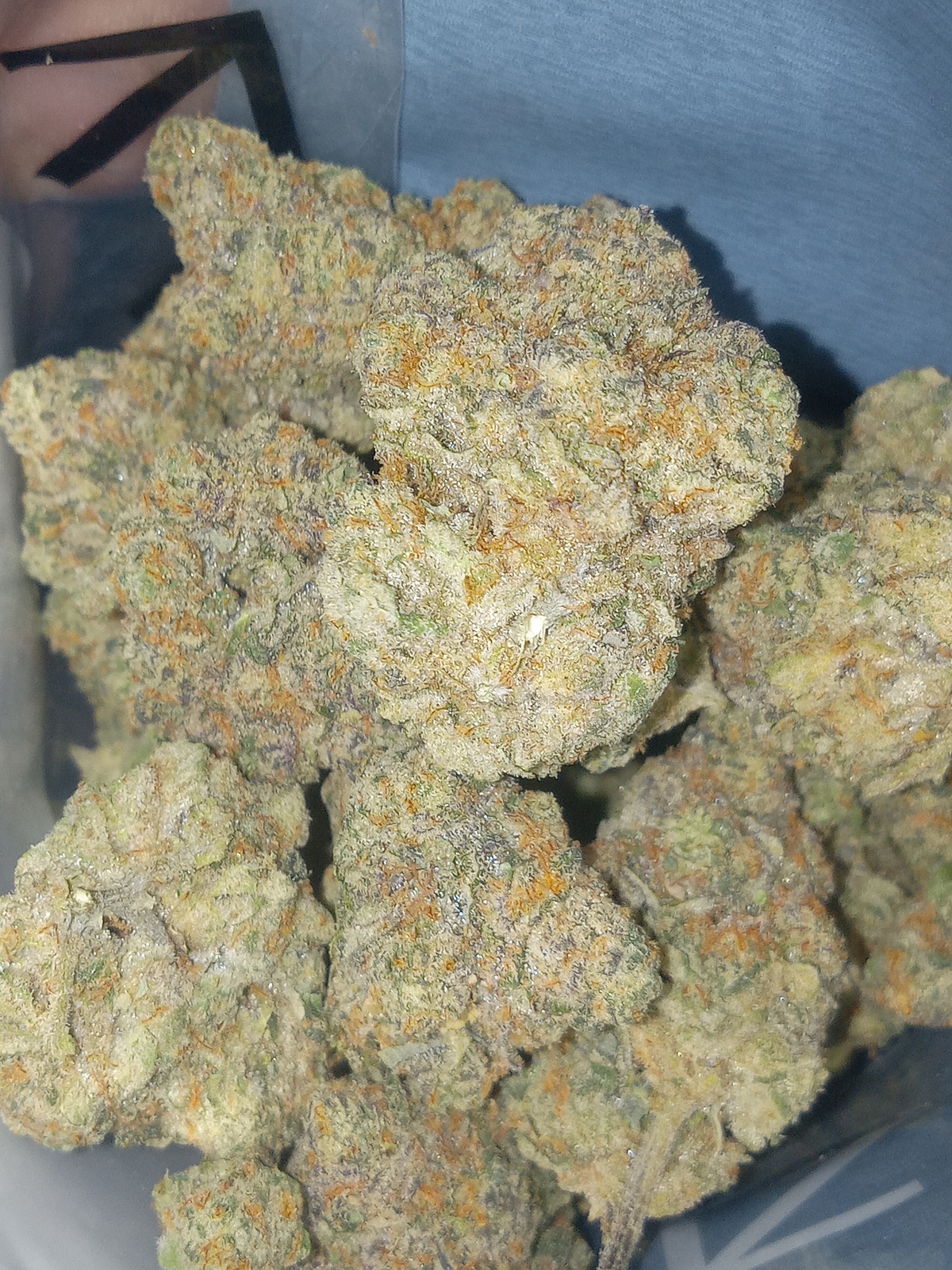 The Member Berry Strain: Aroma, Taste, & Potency (Allbud) - v1o6a62