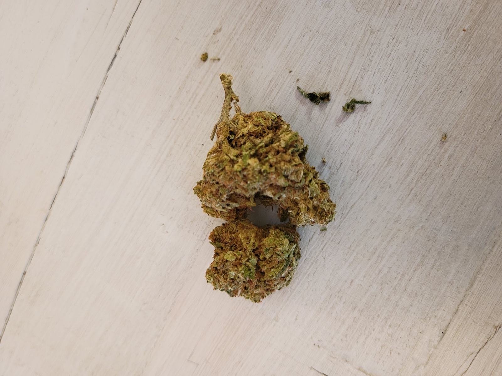 Chocolate Chunk Marijuana Strain Information & Reviews AllBud