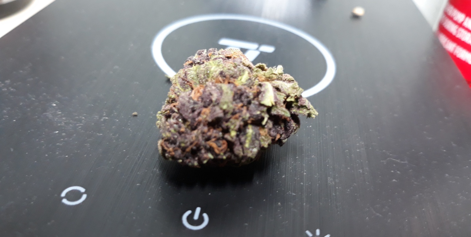 Chocolate Covered Strawberries