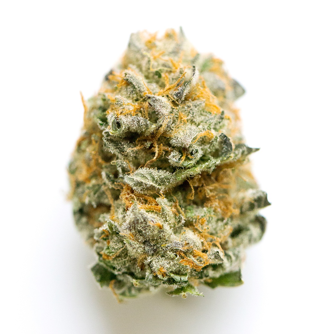 Chocolate Frosted Sherbet Marijuana Strain Information & Reviews AllBud