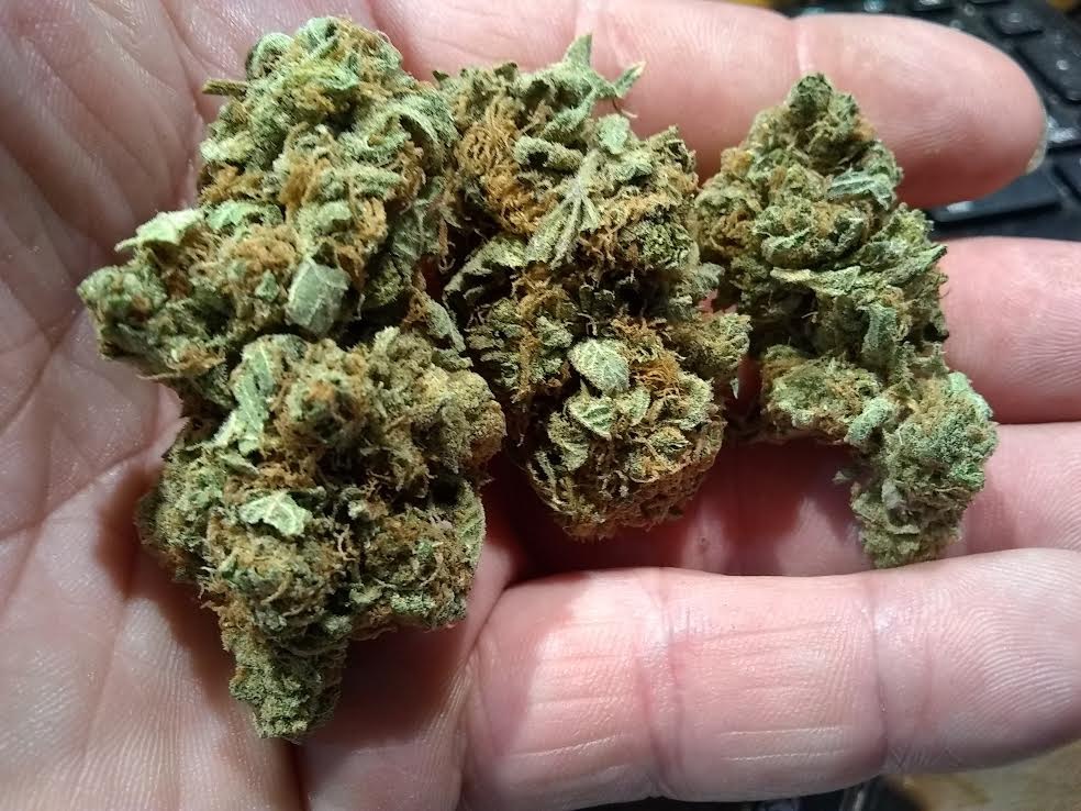 Chocolate Mint Og Marijuana Strain Information & Reviews AllBud