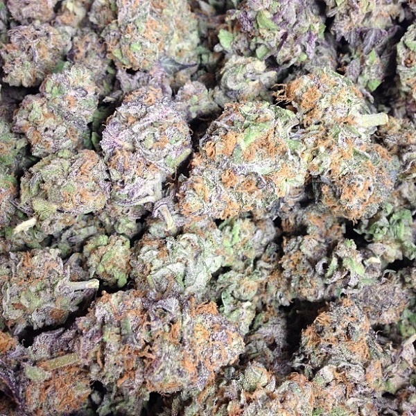 Chocolate Thunder Marijuana Strain Information & Reviews AllBud