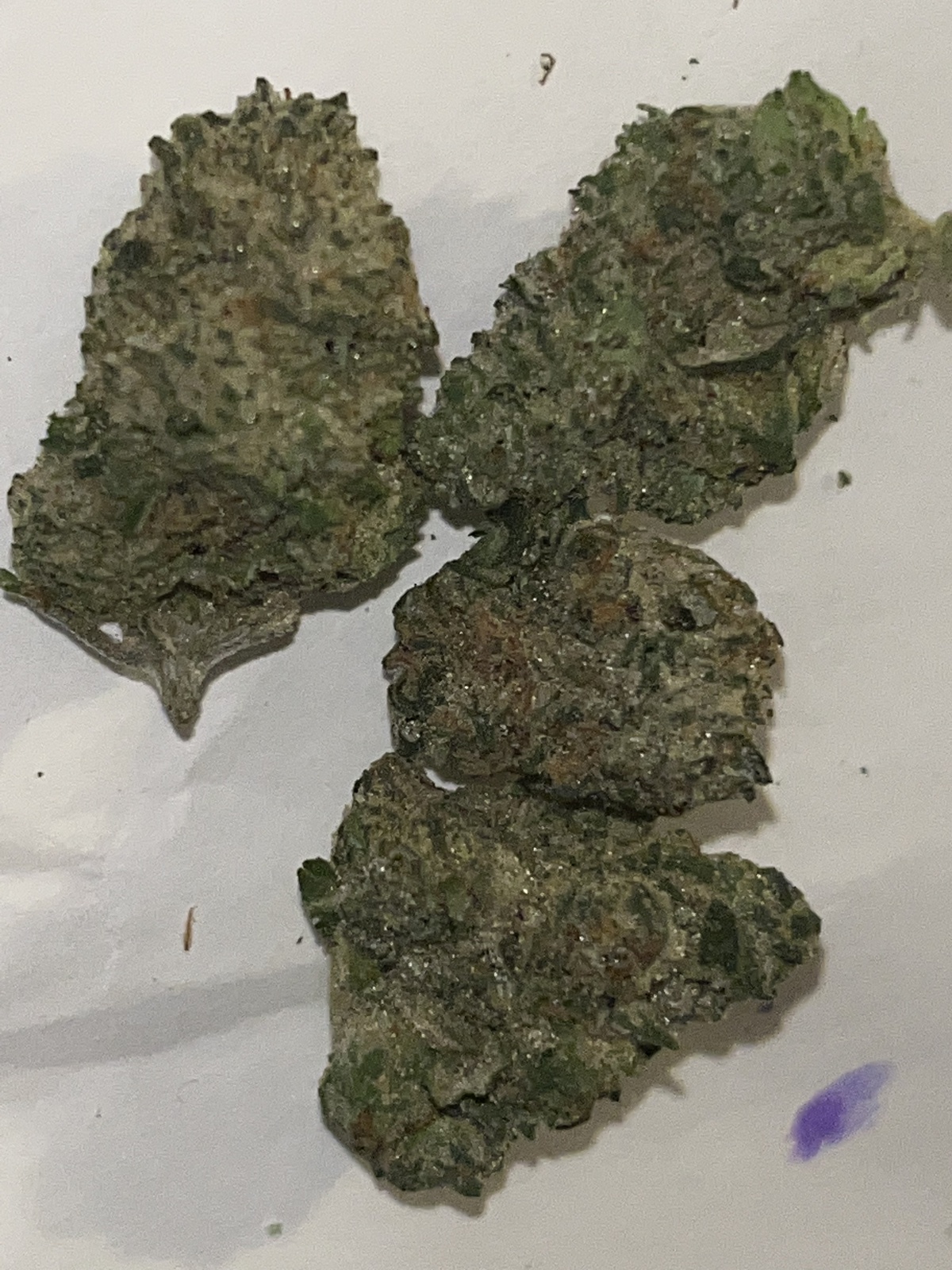 Chocolatina Marijuana Strain Information & Reviews AllBud