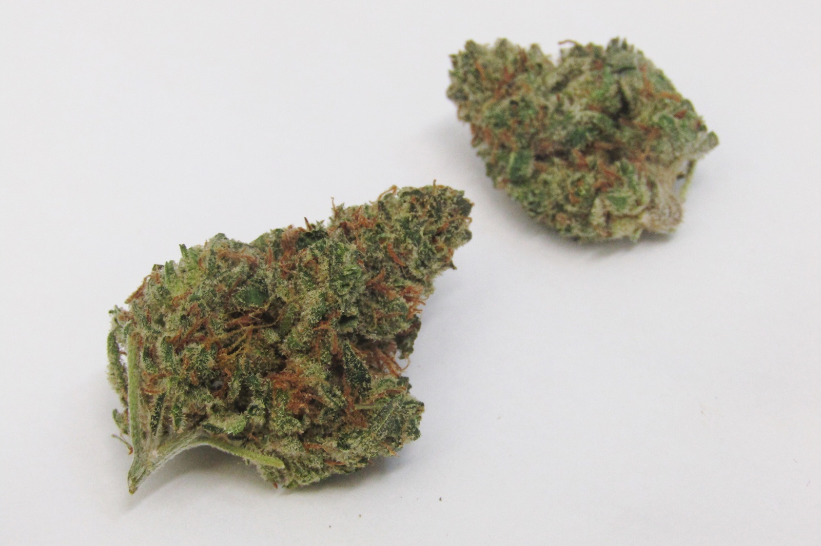 Citral Flo archive 0