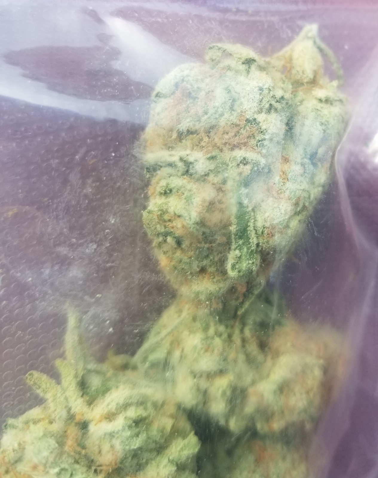 Clementine Marijuana Strain Information & Reviews AllBud