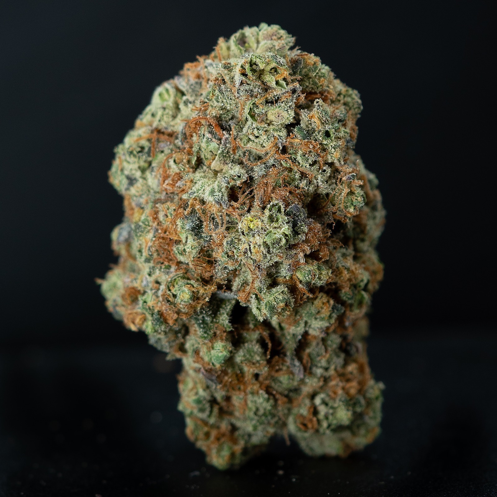 Coconut Milk Marijuana Strain Information & Reviews AllBud