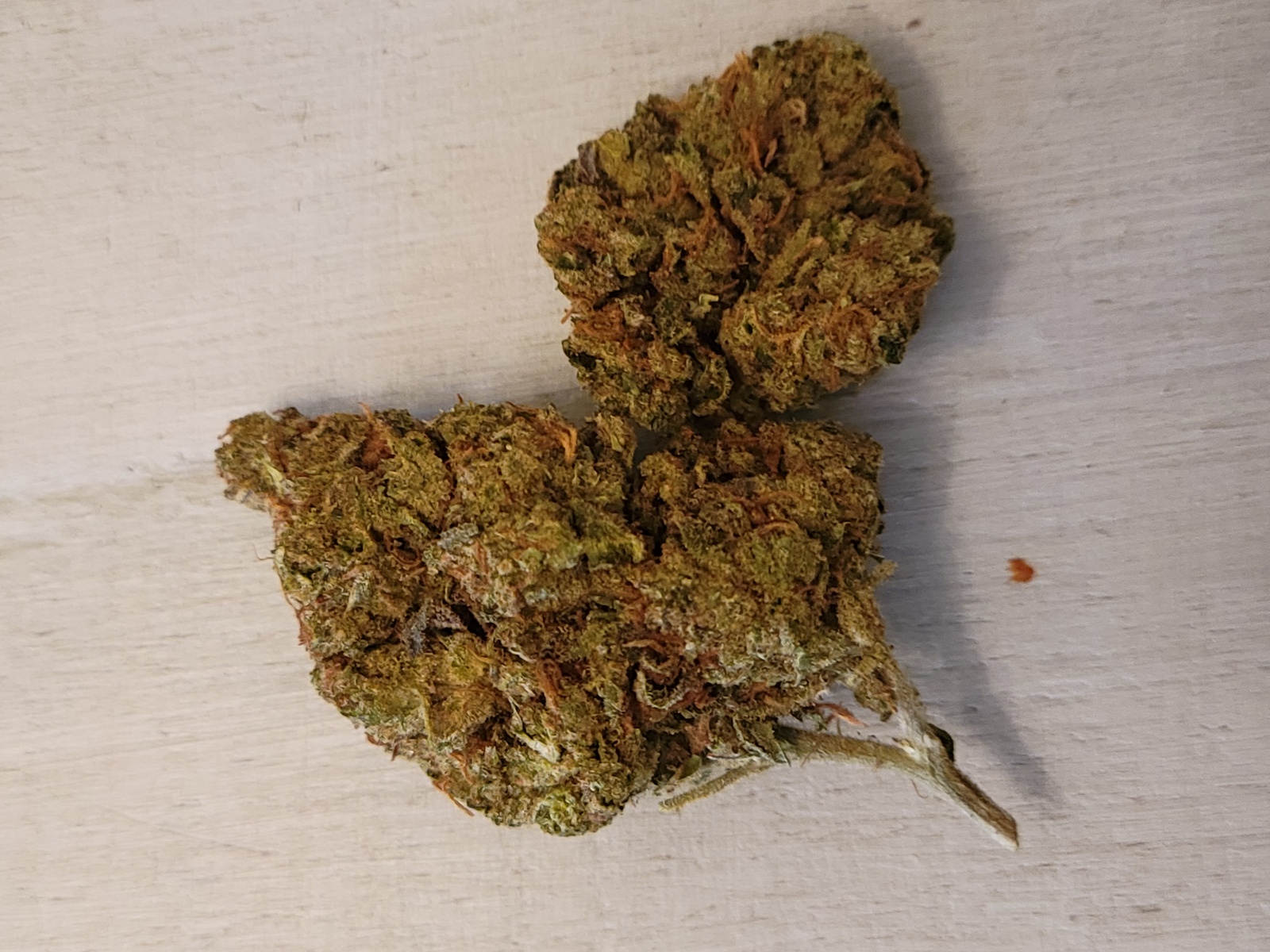 Cookie Frost Marijuana Strain Information & Reviews AllBud