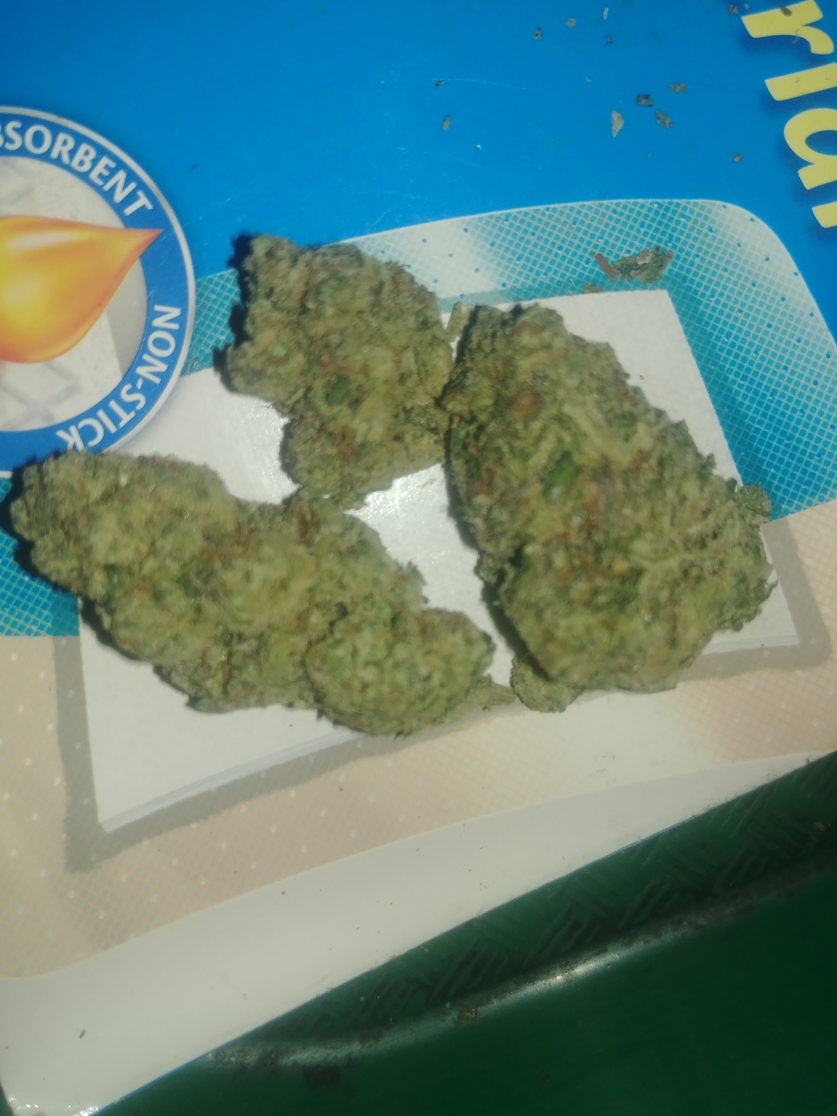 Icc Strain Allbud - abcvesj