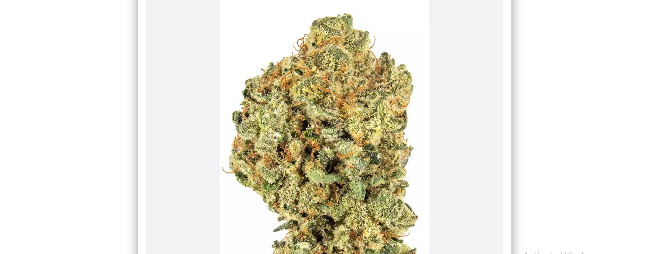 Cotton Bunny Marijuana Strain Information & Reviews | AllBud