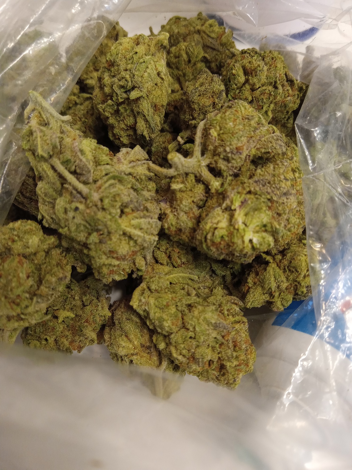 Crypto Marijuana Strain Information & Reviews | AllBud