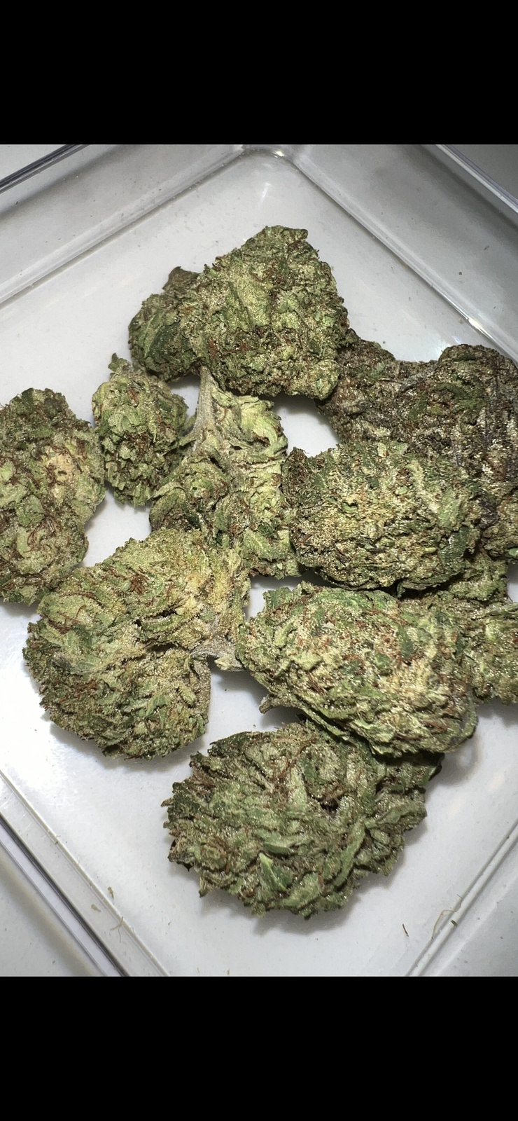 Dank Dough archive 1