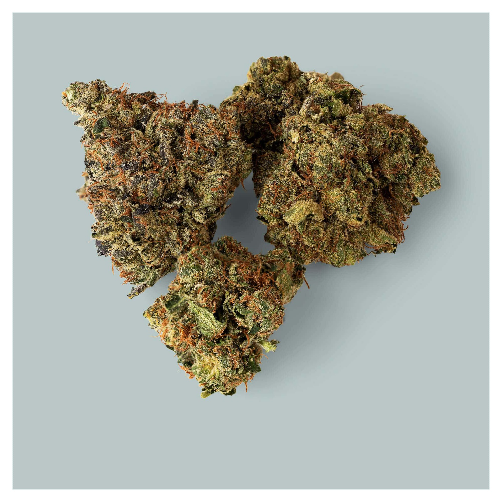 Dank Rainbow harvested flower, as labeled by the cited photo source