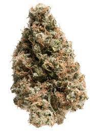 Dank Vader archive 1