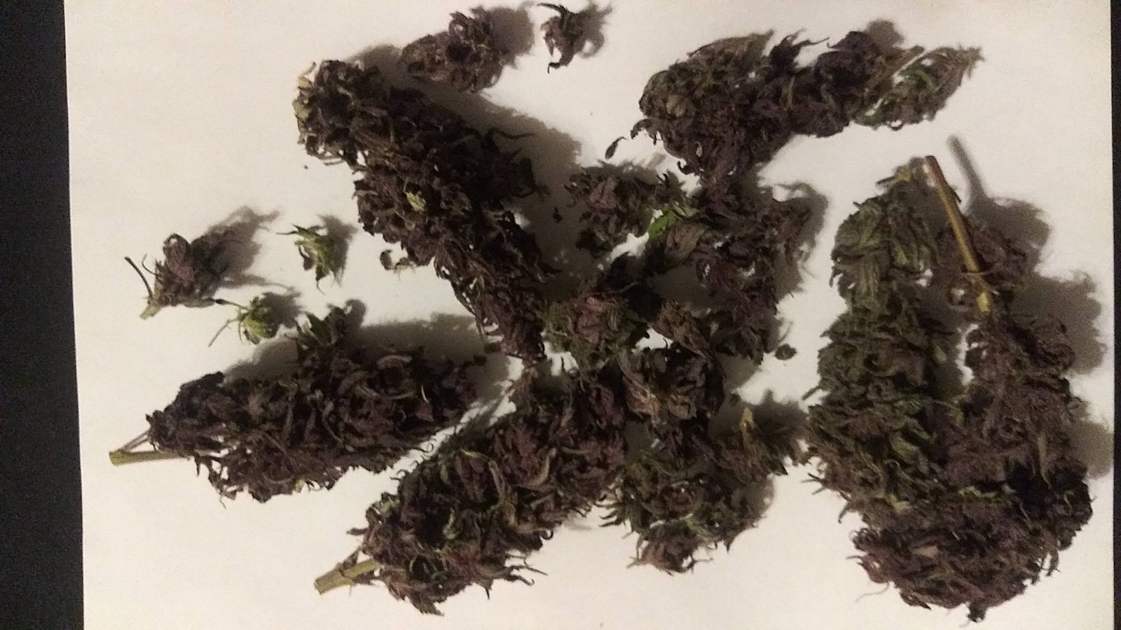 Dark Desire archive 1