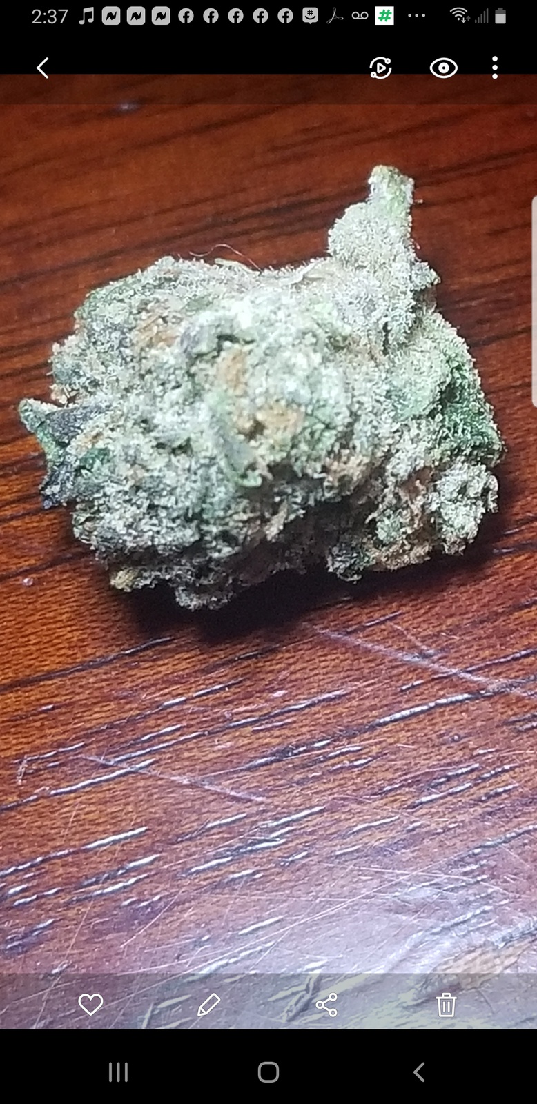 Dark Horse archive 1