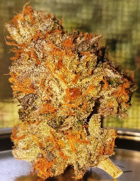 Dark Plasma archive 1