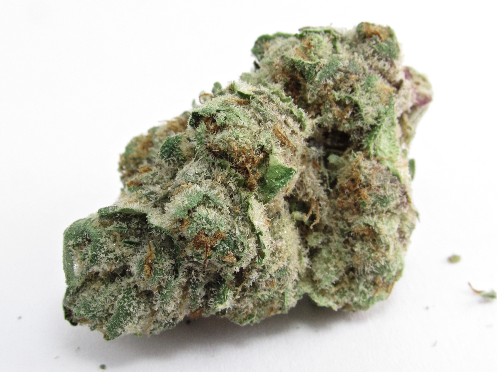 Dawg Breath Marijuana Strain Information & Reviews AllBud