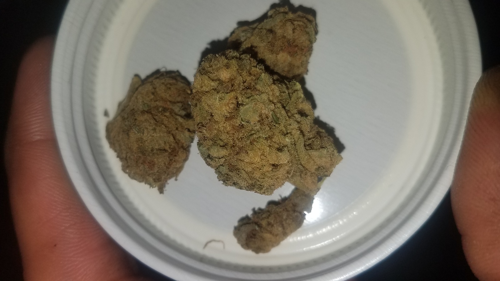 Dawg Cookies Marijuana Strain Information & Reviews AllBud