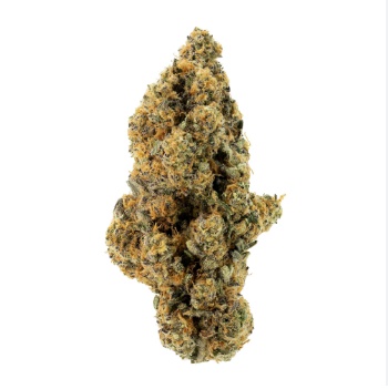 Death Punch archive 1