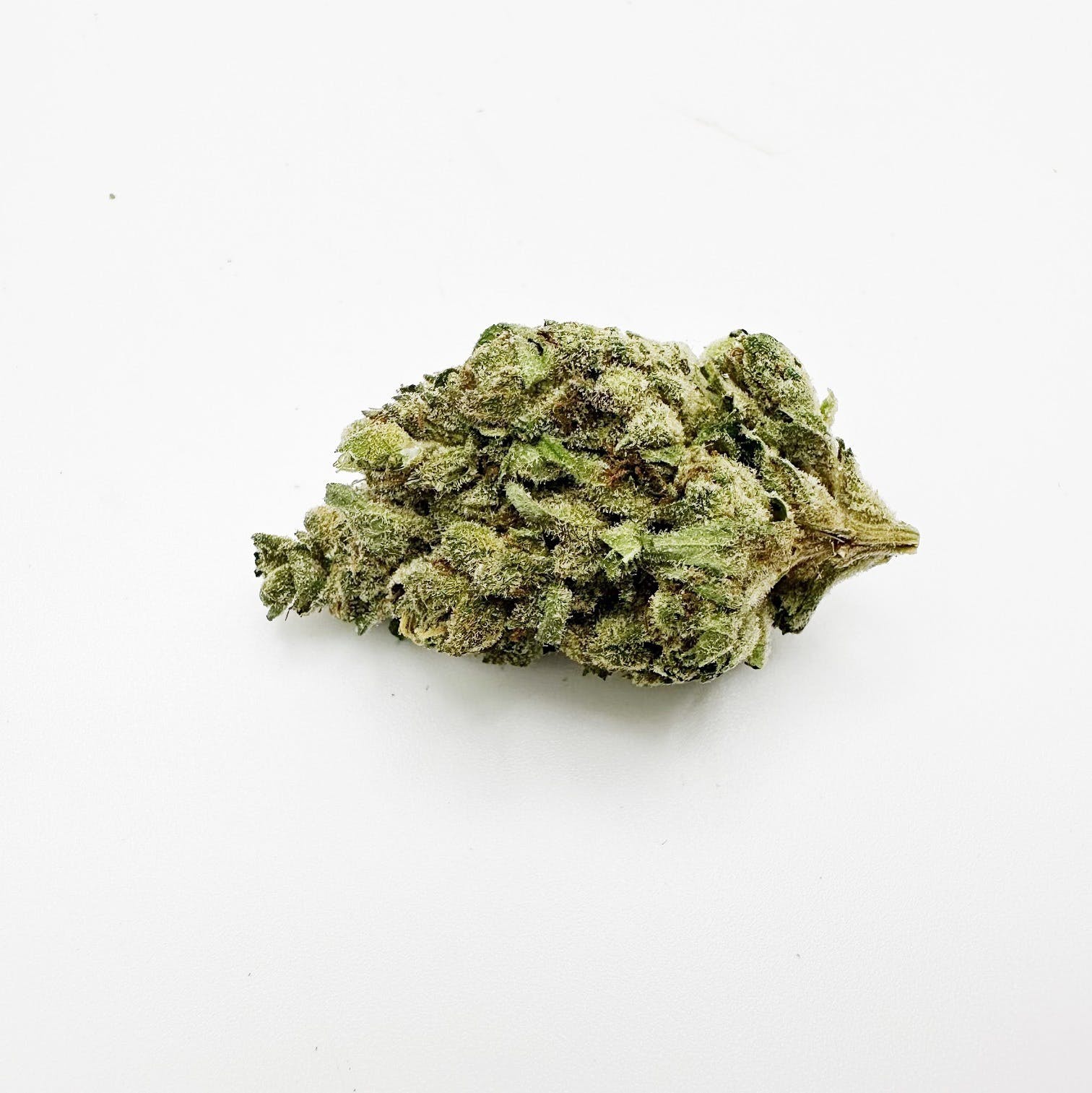 Delicata Grapes Marijuana Strain Information & Reviews AllBud