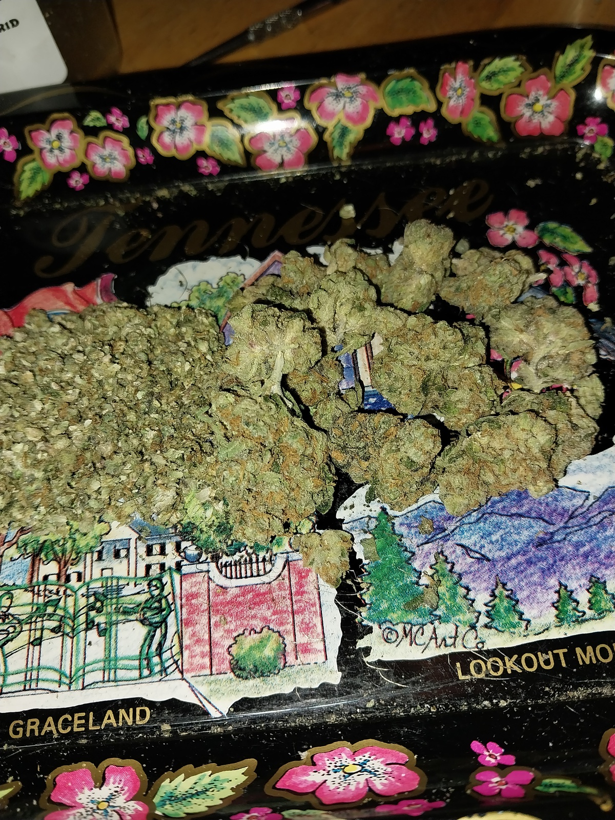 Its It Strain Allbud - 0l7k8cu