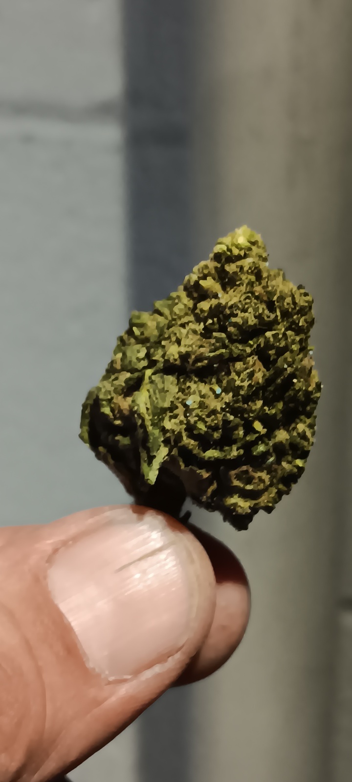 Do Si Dos LA Marijuana Strain Information & Reviews AllBud
